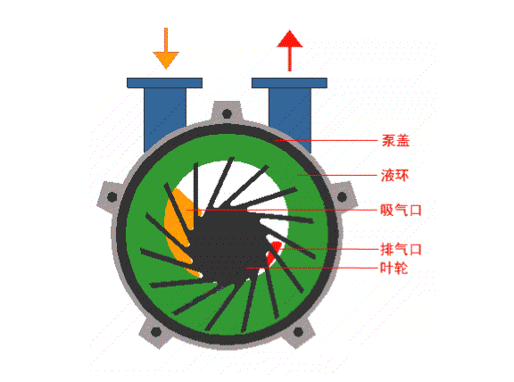 水环式真空泵的工作原理结构图